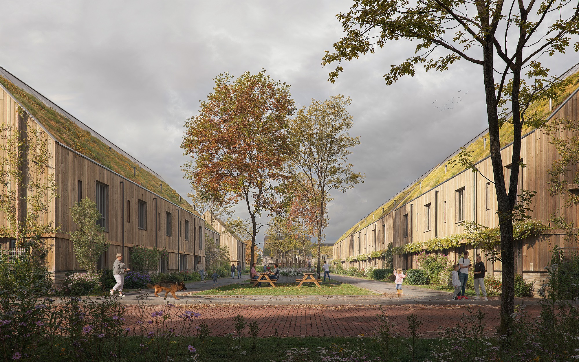 Nest & Poel - Nest & Poel - Hoekwoning - 5783